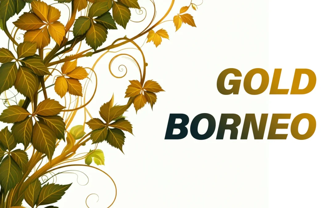 Gold Borneo Kratom Strain