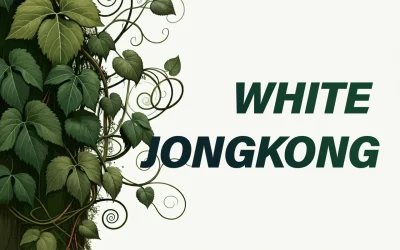 White Jongkong