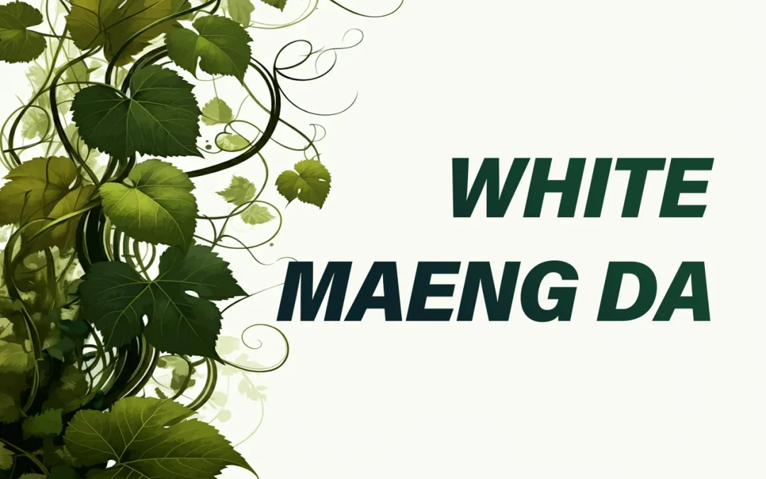 White Maeng Da Kratom Strain